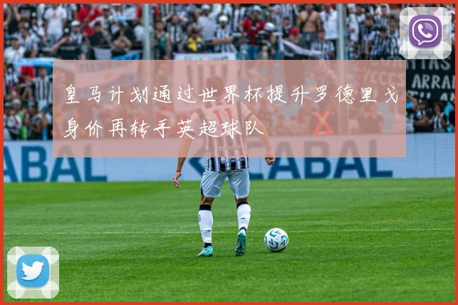 皇马计划通过世界杯提升罗德里戈身价再转手英超球队