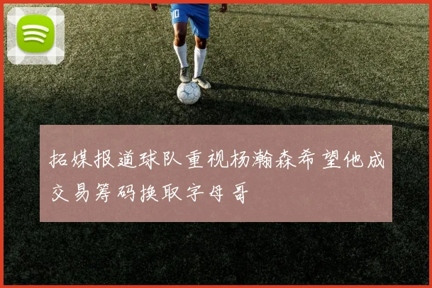 拓媒报道球队重视杨瀚森希望他成交易筹码换取字母哥
