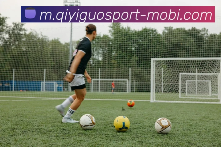 App Interface Preview